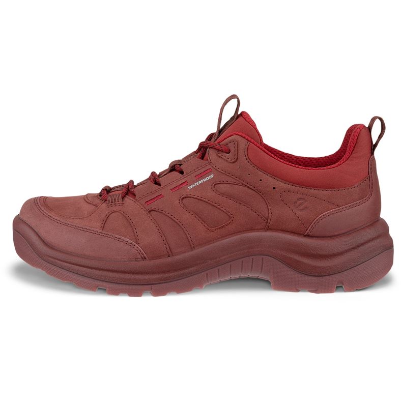 Ecco Women's OFFROAD WP BRICK