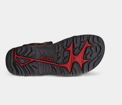 Ecco Men's Offroad Sandal