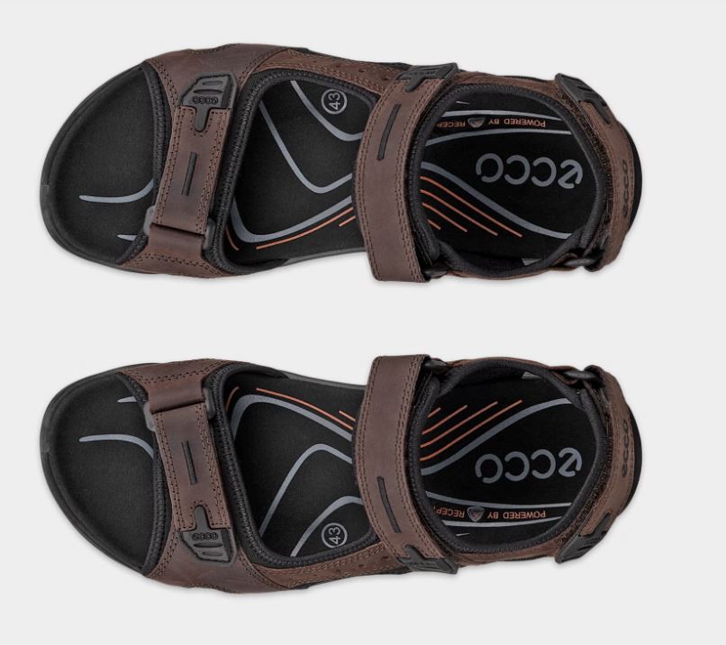 Ecco Men's Offroad Sandal