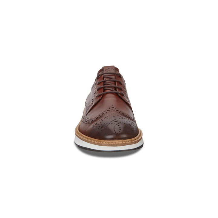 ecco CLASSIC HYBRID Brog シューズ ecco ECCO エコー 日本正規品 CLASSIC HYBRID Brog クラシック